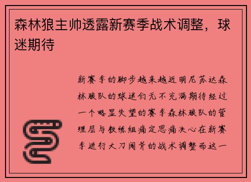 森林狼主帅透露新赛季战术调整，球迷期待