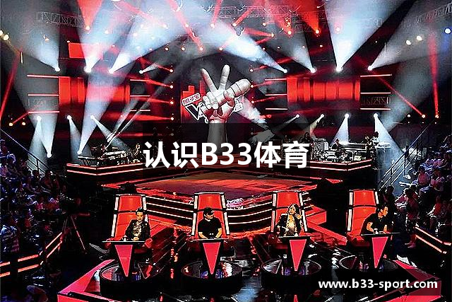 认识B33体育